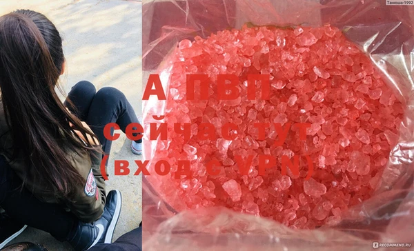 стафф Абинск