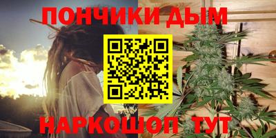 спиды Донской