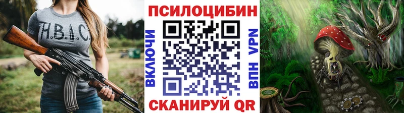 Галлюциногенные грибы Psilocybe  Кизляр 