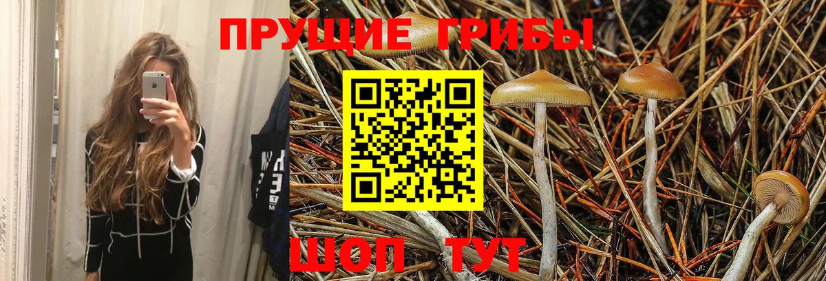 Псилоцибиновые грибы мухоморы Кизляр