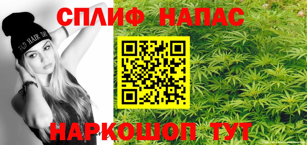 Бошки Шишки гибрид Кизляр